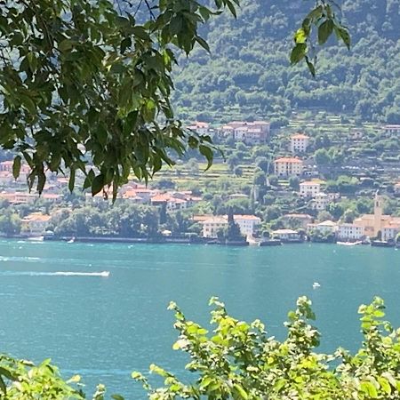 Apartment Casa Dono Il Lago Pognana Lario Dış mekan fotoğraf