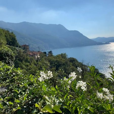 Apartment Casa Dono Il Lago Pognana Lario Dış mekan fotoğraf