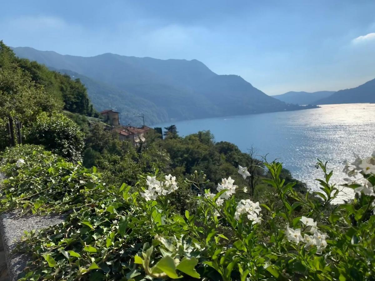 Apartment Casa Dono Il Lago Pognana Lario Dış mekan fotoğraf