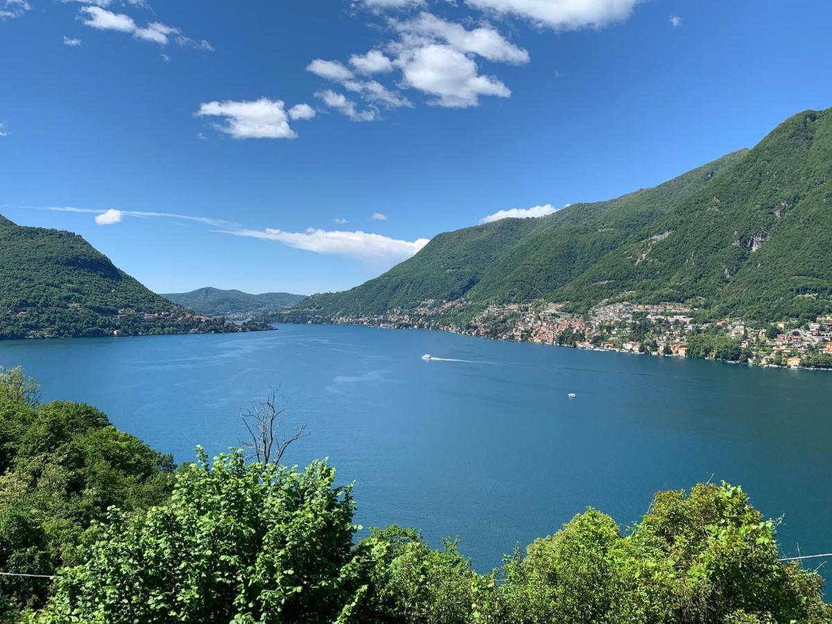 Apartment Casa Dono Il Lago Pognana Lario Dış mekan fotoğraf