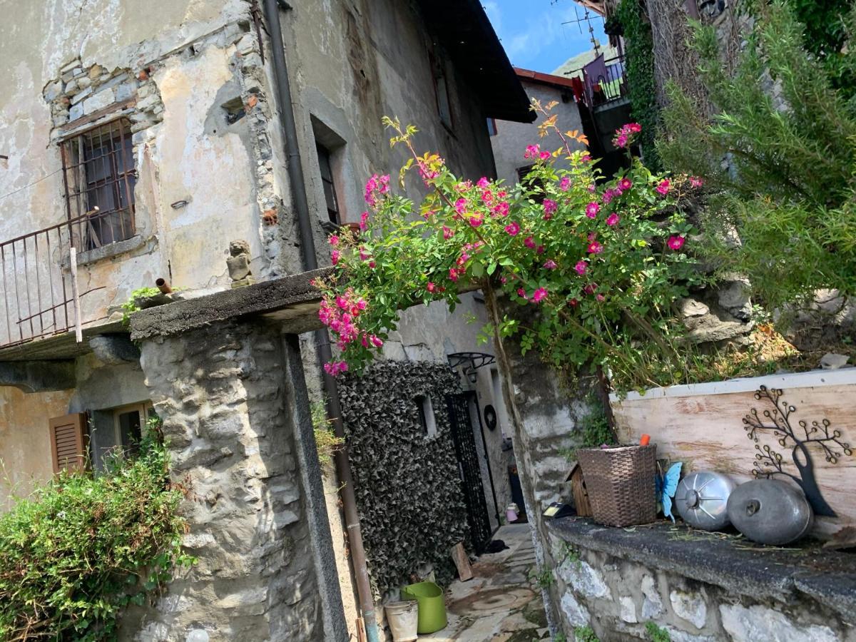 Apartment Casa Dono Il Lago Pognana Lario Dış mekan fotoğraf