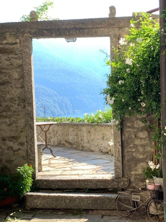 Apartment Casa Dono Il Lago Pognana Lario Dış mekan fotoğraf