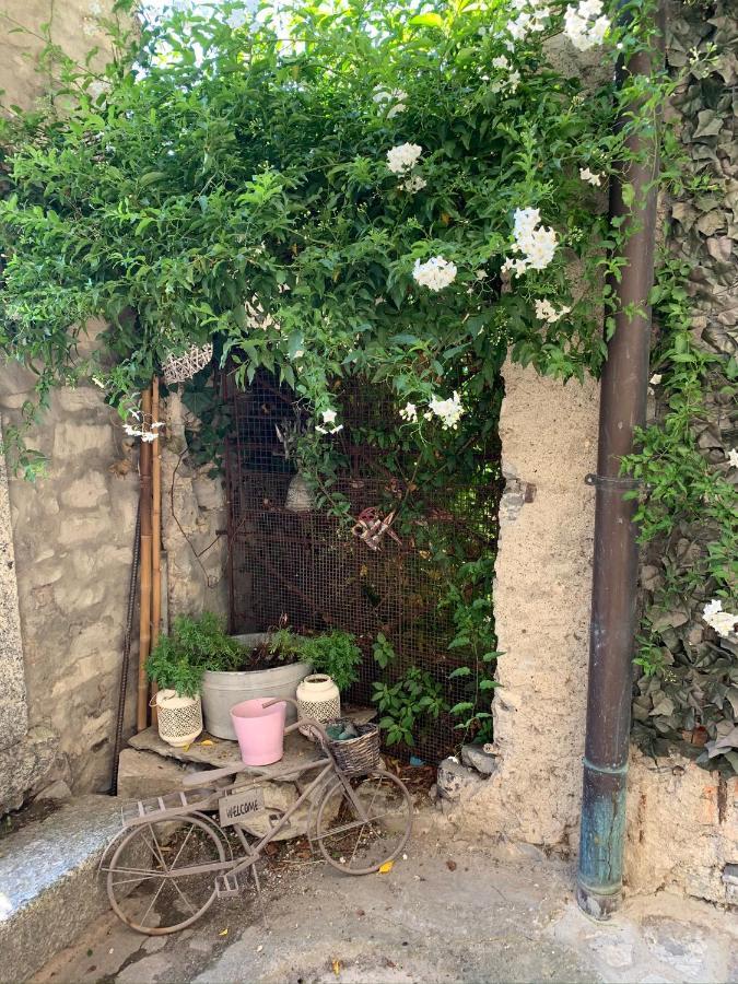 Apartment Casa Dono Il Lago Pognana Lario Dış mekan fotoğraf